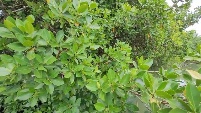 4591863b77912b24d9b1bb66709354c9