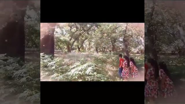 D229e75f5874b7a2b03fc0e8338bf2ae