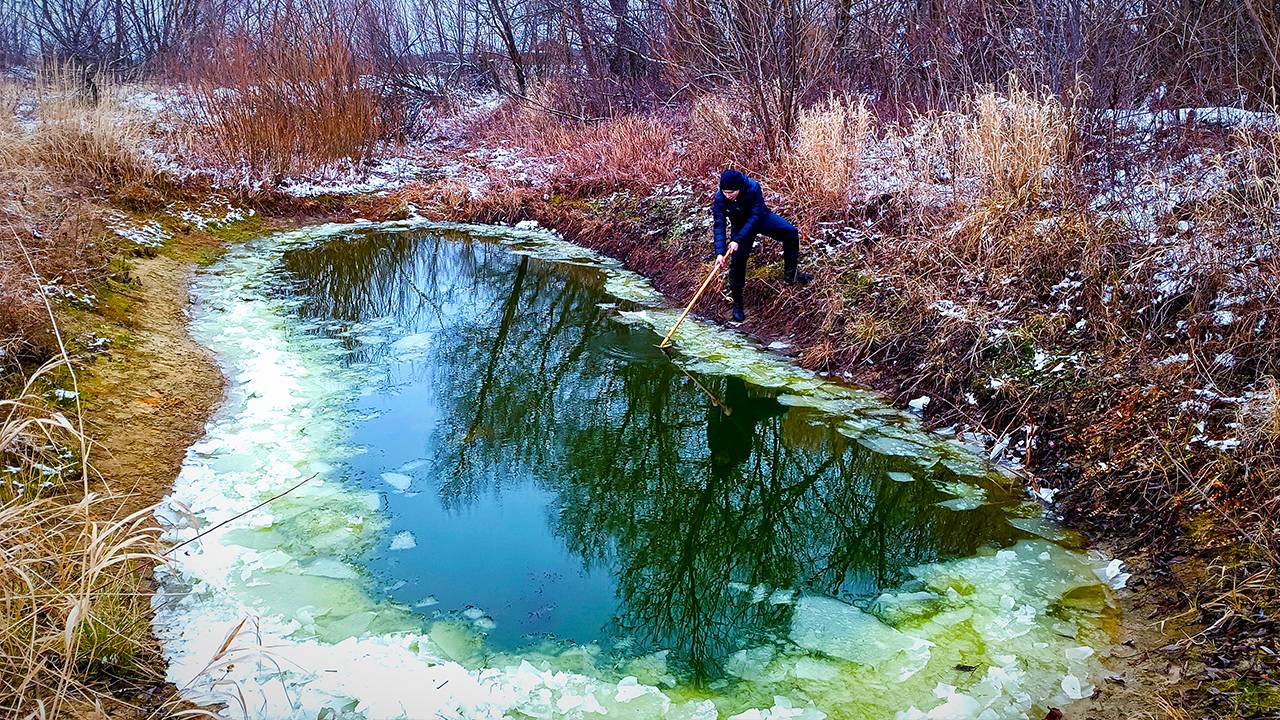 Пруд на даче с рыбой. Экстремальное купание зимой в речке!