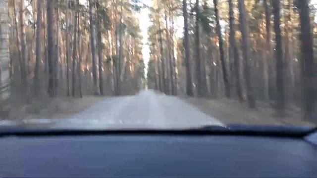 Выезд с Зеленого бора. Татарстан.