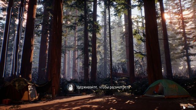 Прохождение Life Is Strange 2 - Эпизод 3 