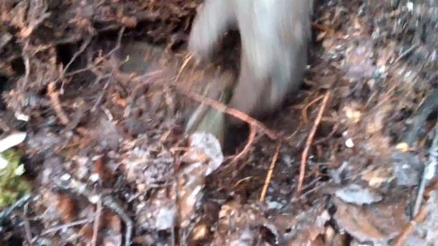 Коп возле немецких блиндажей