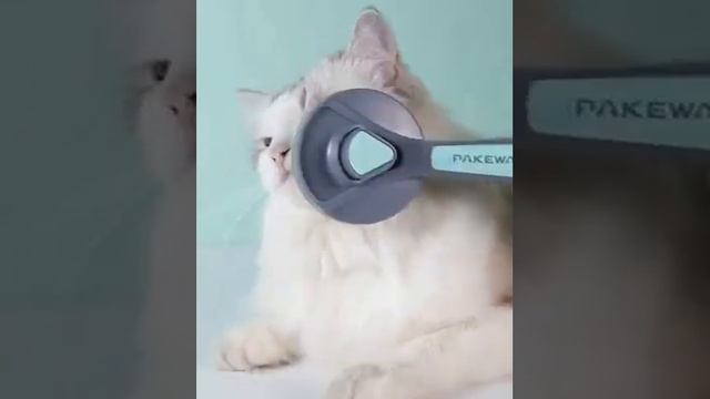 Fa0a9a852293f9bef5196d9c410c9cdb