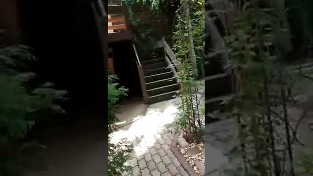 ТОЖИКИСТОНЛИК ШАВКАТЖОННИ ИШЛАШ ШАРОИТЛАРИ