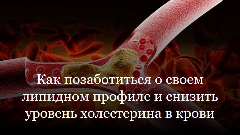 Как позаботиться о своем липидном профиле и снизить уровень холестерина в крови