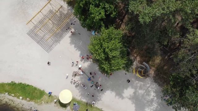 Квест сосновый бор