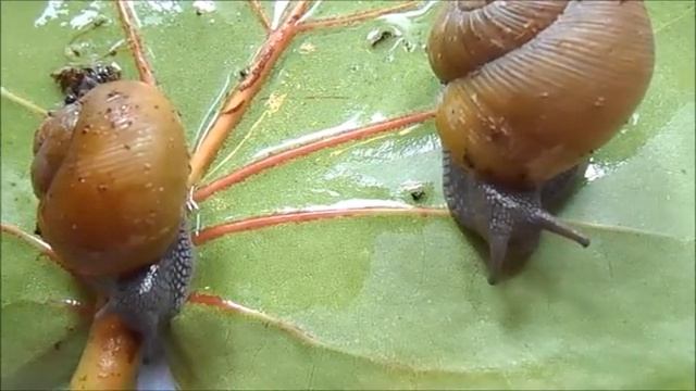 3a89c2cd63da30ac78f05c9464cc8da3