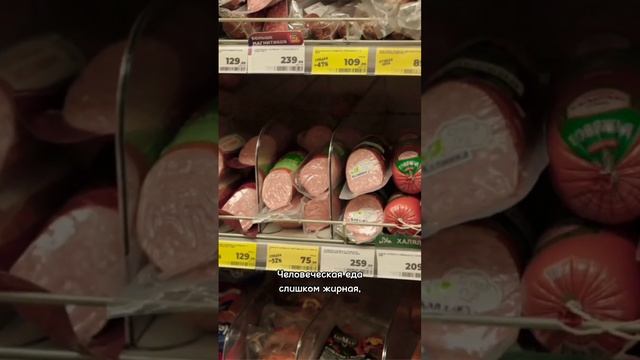 3 правила, которые обезопасят вашу собаку в новогоднюю ночь #собаки