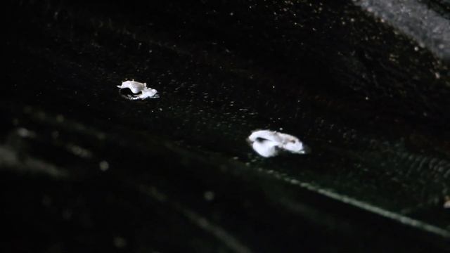 RUSEFF   Мовиль