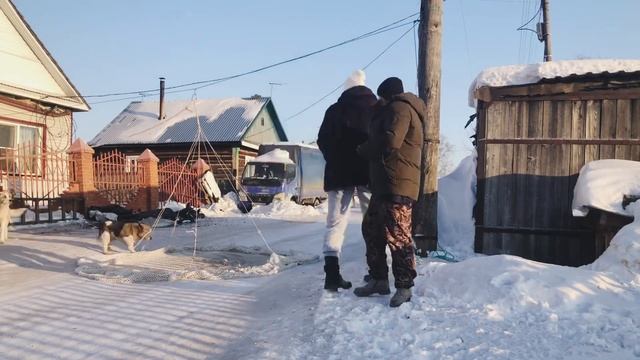 Всего 5 минут и собака поймана Люблю такие быстрые ловли Ловим дикую собаку сетью