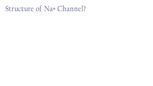 Local Anaesthetics, Mechanism Of Sodium Channel,  Lidocain..