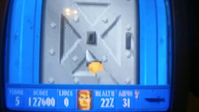DOOM Sucks:Wolfenstein 3D