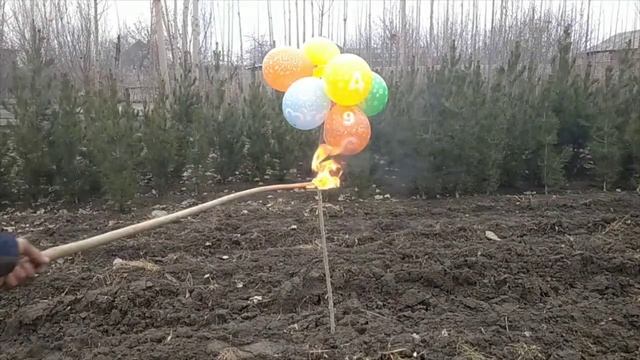 GAZLI SHAR BILAN EKSPERIMENT