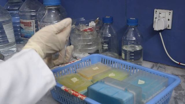 Principle And Working Of Autoclave [Urdu/Hindi]