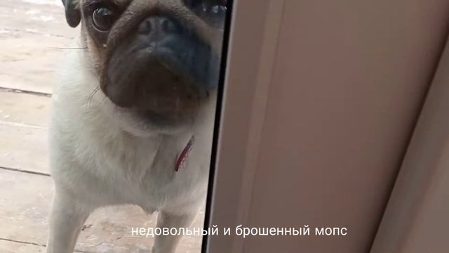 VLOG/Побег из города/Он сделал предложение