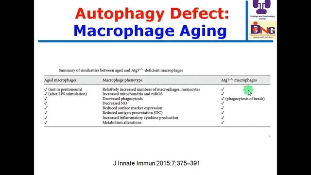 Autophagy And The Aging Immune System  Prof  Hussein Sheashaa 7 10 2015