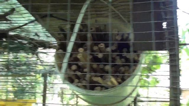 Про руду осмію можна забути.