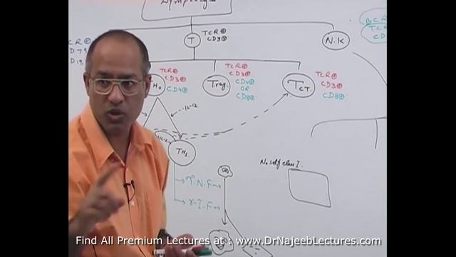 Types Of Lymphocytes | Natural Killer Cells👨⚕️