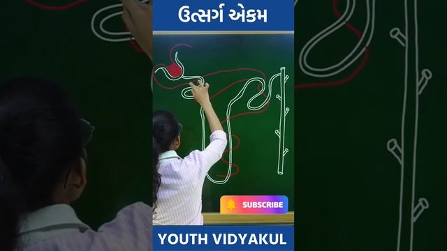 How to draw Nephron Unit..