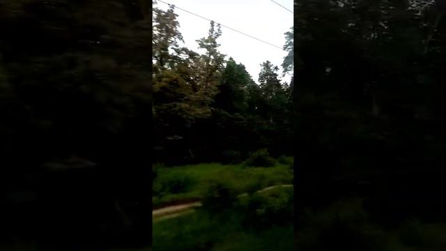 Поездка на электричке Бор- ОП 4 км.