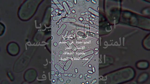 جسم الانسان يتكون من(٠  ٠؟) #short