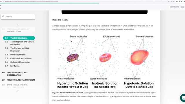 BIOL 152 Cell Membrane, Organelles, And Replication