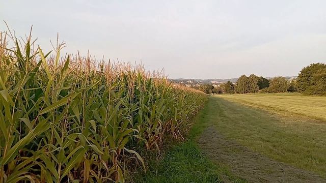 C5f741979ebefd760f1bfd6638d98a2d