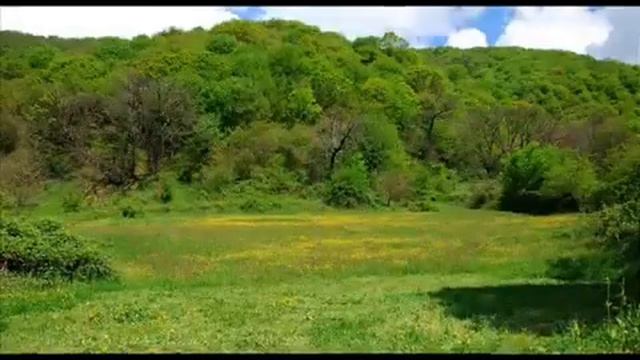 Муталлиб Бороев : Цlоралъул Магlарулал _ 03-12-2022 года ❤️❤️❤️