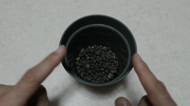 CASTAGNO - Fai Nascere Una Pianta Dal Frutto A Costo Zero, Castagne, Marroni,