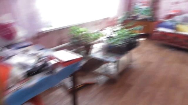 VLOG /СВИНКАМ ЗДОРОВО В ДЕРЕВНЕ /КОШЕК СТАЛО ТРИ