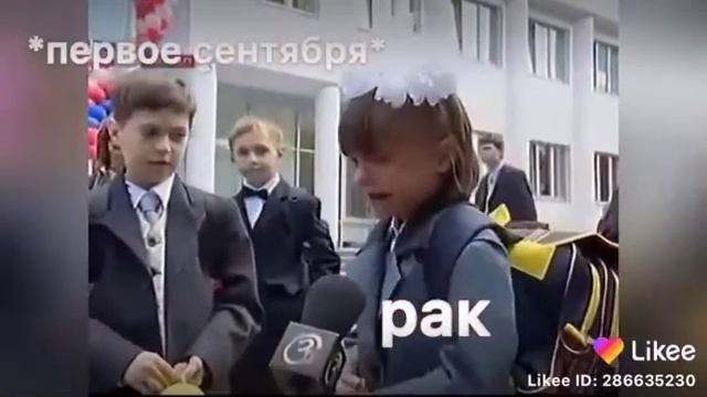Знаки зодиака в разных ситуациях