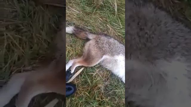 Aa207f6bdefda4940b086da7e66d507d