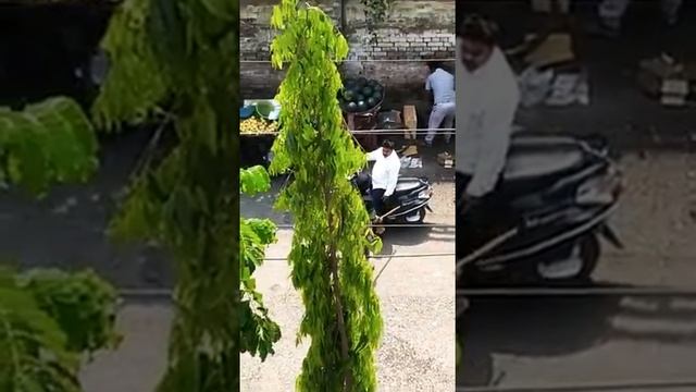 Ghar Baithkar Bor Ho Gaye Ho To Bahar Nikalkar Full Body Masaj Kara Lo