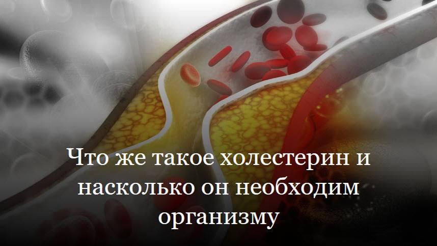 Что же такое холестерин и насколько он необходим организму