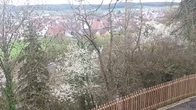 Бровченко. Они пахали... Обзор влогов. 20 04 2024 Бровченко