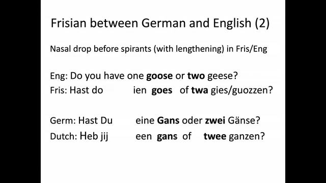 Old Frisian & Its Place Among The Germanic Languages (Topics In German Historical Linguistics 4)