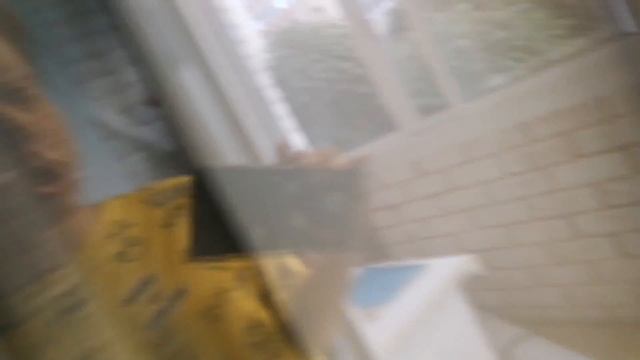 собака Ромы Kream управляет нами 24 часа