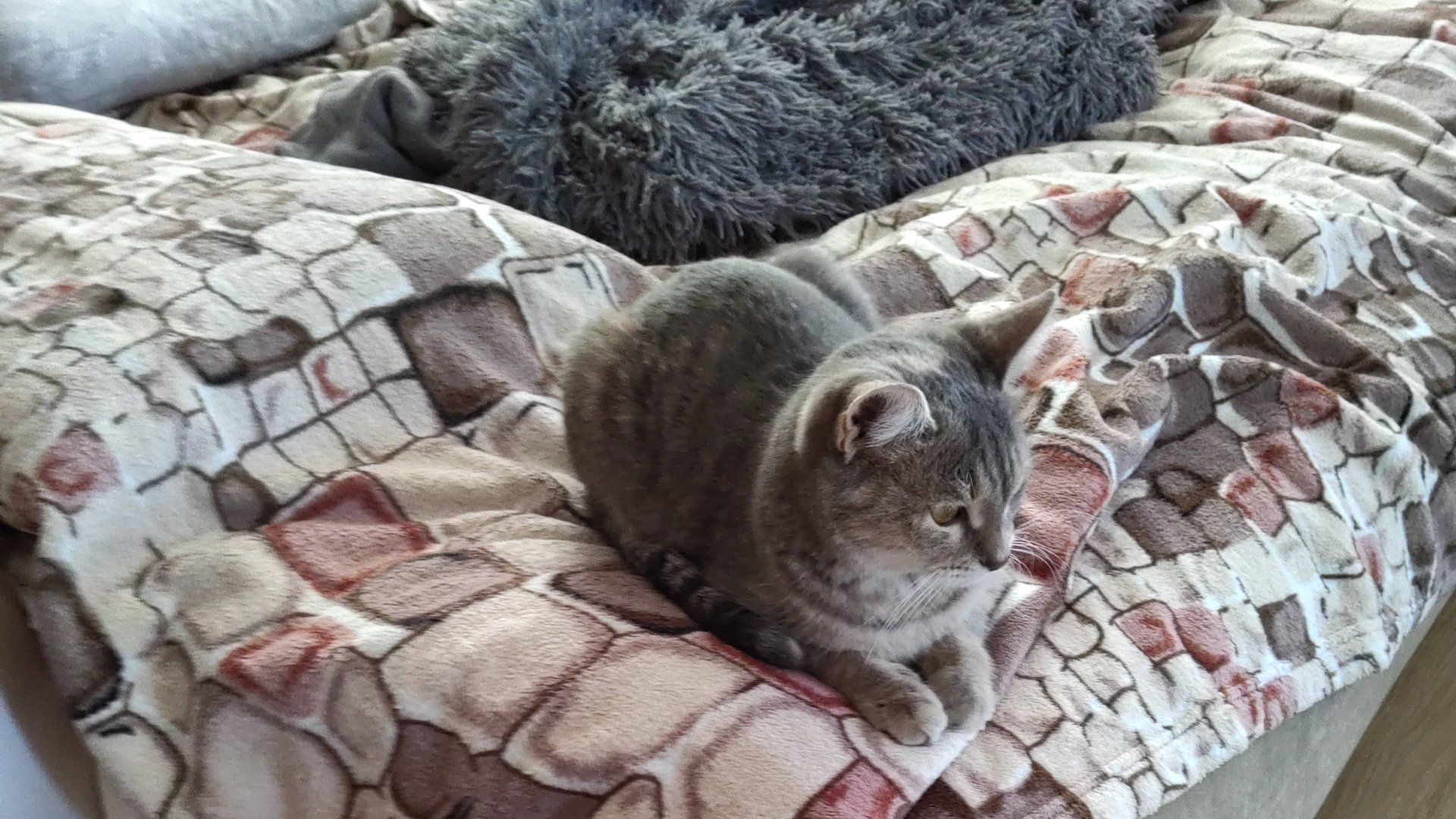 У этой милахи завтра день рождения🥳🥳🥳