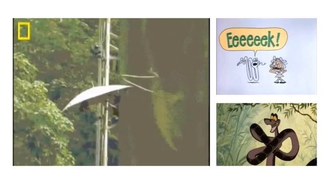 0de3383ab7238371d74657738fb900f6