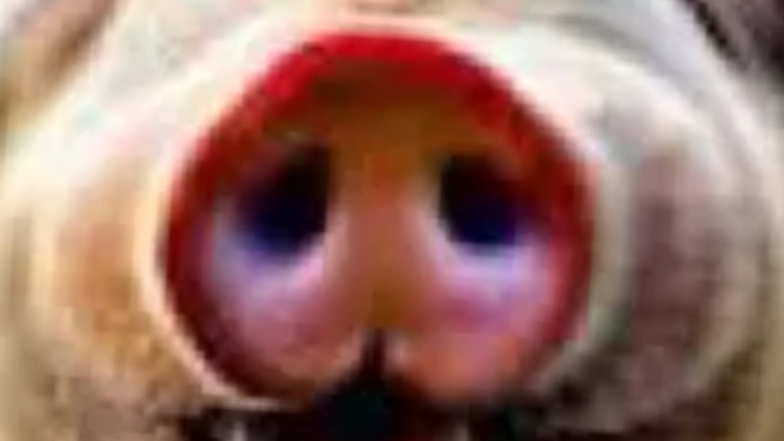 Dde7726e5c5cd886263442dfc1e2c6ba