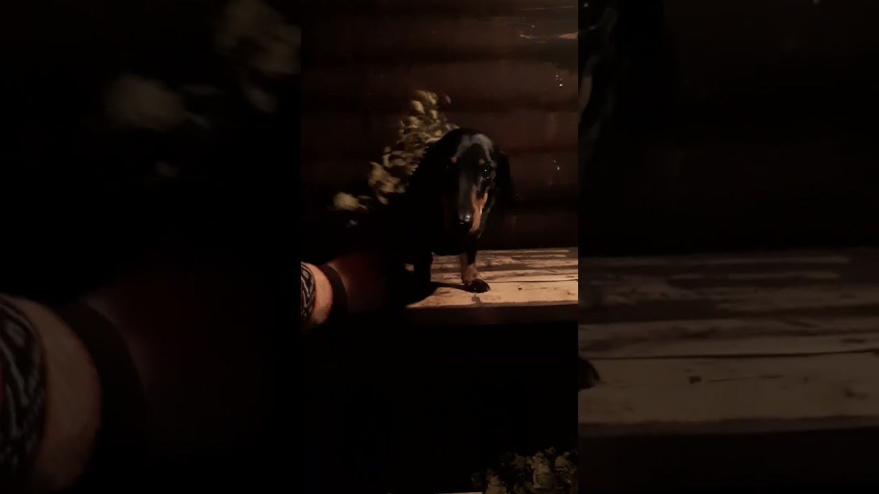 Банька + Шустрик