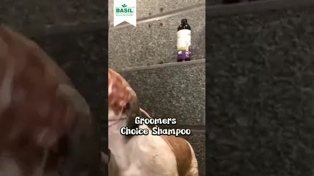 91537d721243920a1cfe624fc58b2746