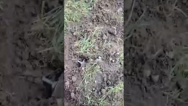 F02306a2140bb24000c552e8e4fc1d29