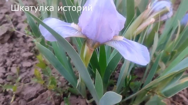 📕 Узнав, с кем изменяет муж, она оцепенела, но сделала так, что они оба пожалели о содеянном