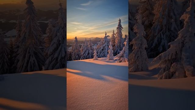 1d2f0aded657ae1930ab6ee507e9b574