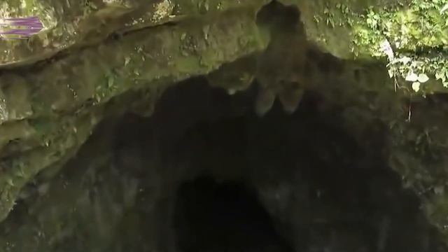 СНЕЖНЫЙ ЧЕЛОВЕК, УЖАСНАЯ ПРАВДА, ВСТРЕЧА СО СНЕЖНЫМ ЧЕЛОВЕКОМ, ЙЕТИ РЯДОМ С ЛЮДЬМИ!!!