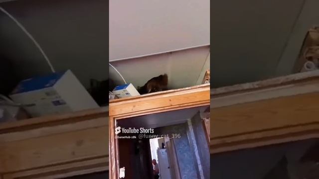 Я не могу это не выложить