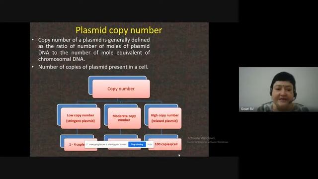 Plasmids
