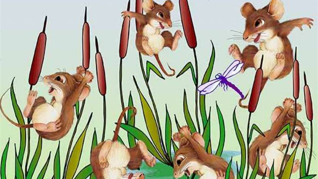 Шипелки. Жужжалки.