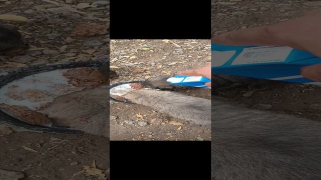 6854774fb8484dd4cb3092097355ca23